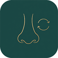 Apa yang harus diperhatikan dengan perbaikan hidung? Panduan yang wajib dibaca sebelum operasi (Preoperative Guidelines)